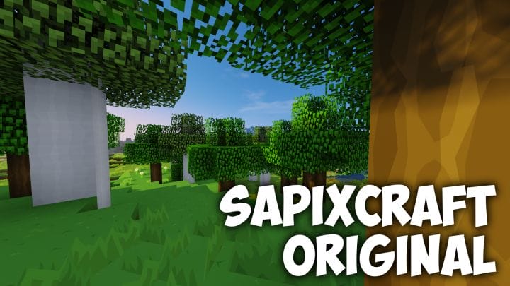 SapixCraft Resource Pack 1.12.2/1.12