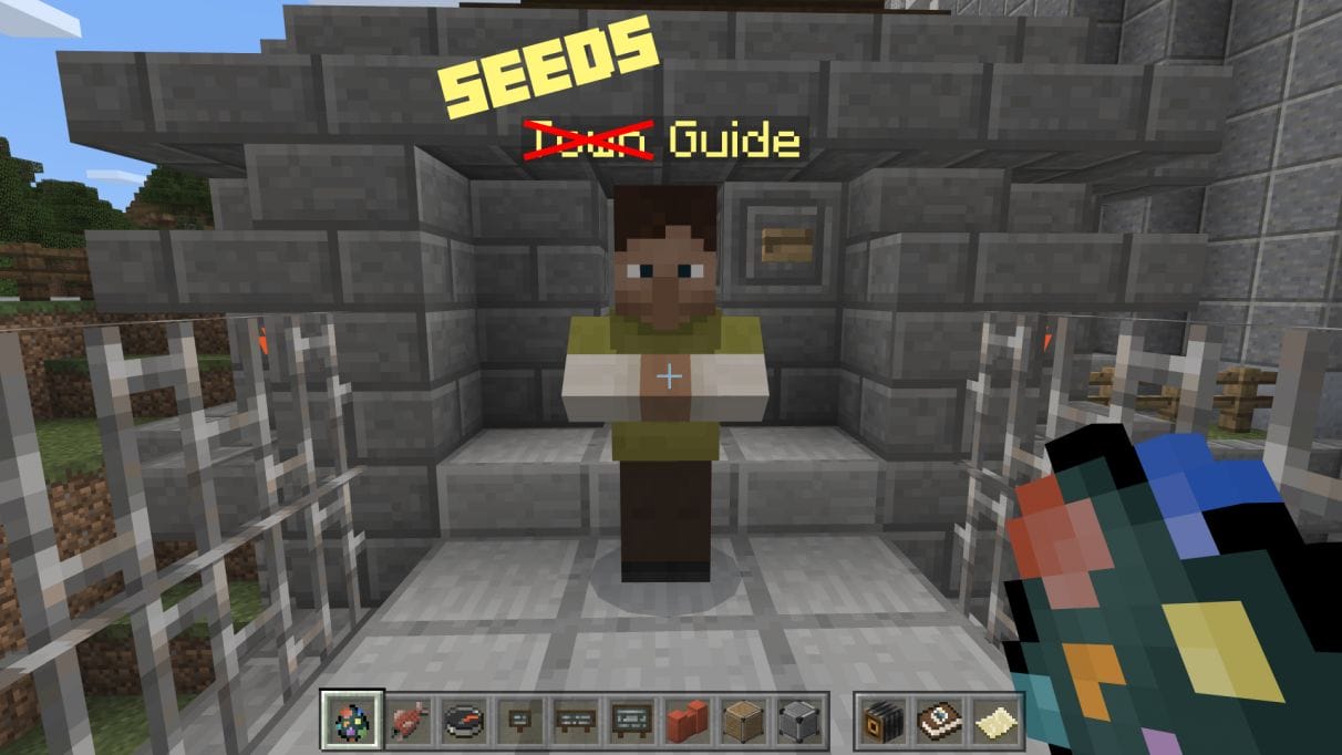 How to Use Minecraft Seeds