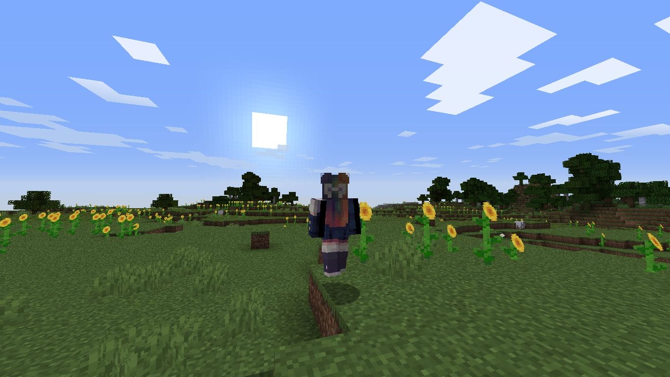 I Get Around Skin - 3