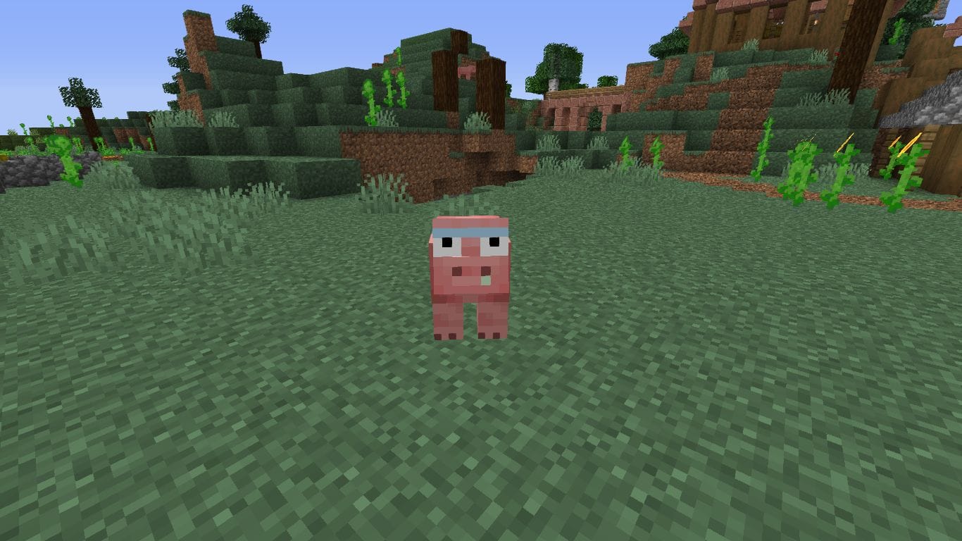 Rick Texture Pack 1.15.1 - 3