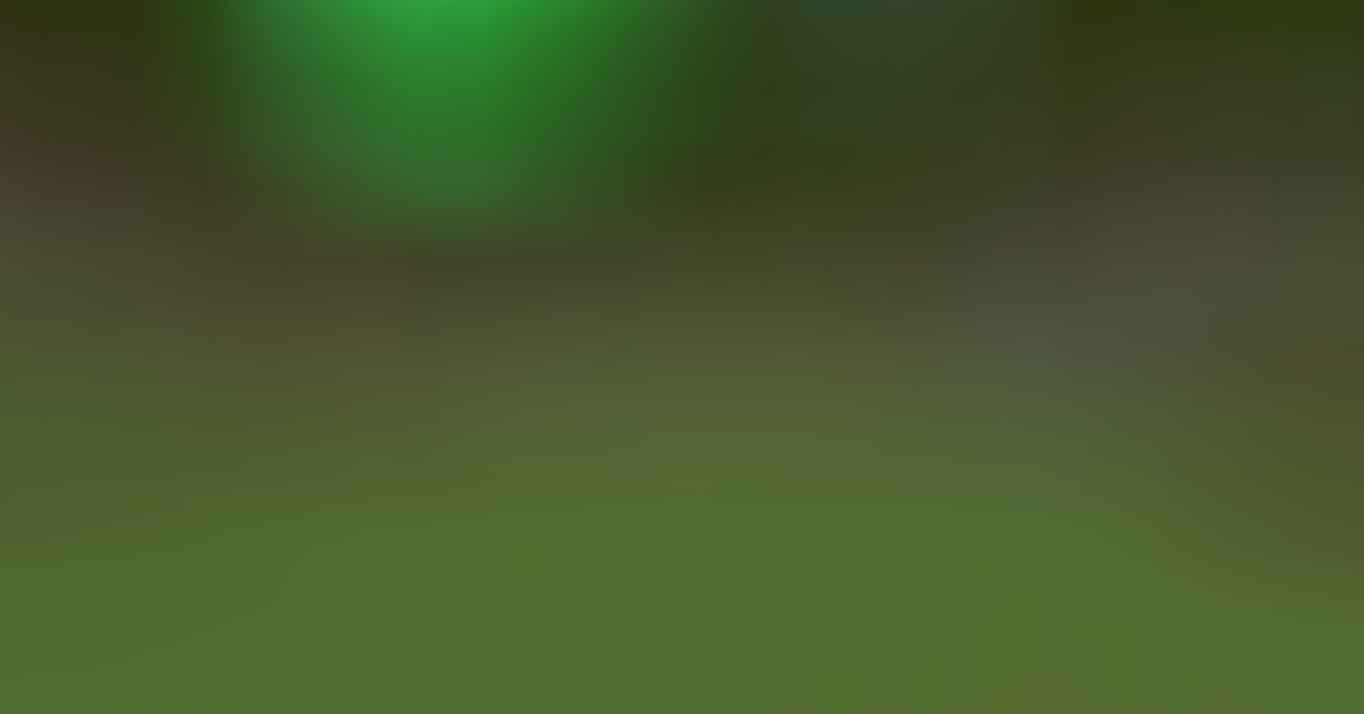 LIGHT 16x Default Edit 1.8.9 - 4