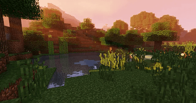 Jelly World Shaders 1.17.1 - 3