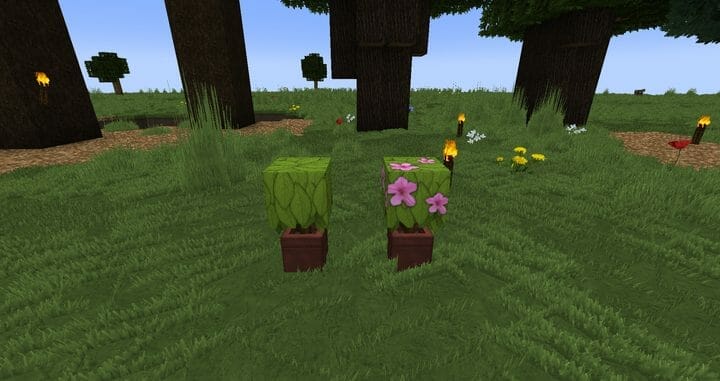 Fancy Super HD Resource Pack 1.17.1 - 1