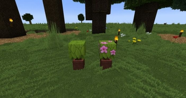Fancy Super HD Resource Pack 1.17.1 - 1 Fancy Super HD Resource Pack 1.17.1 - 1
