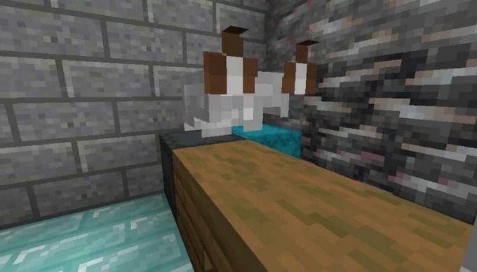 Ears Resource Pack 1.18 - 2 Ears Resource Pack 1.18 - 2