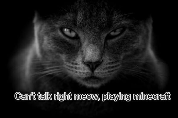 Can't talk right meow