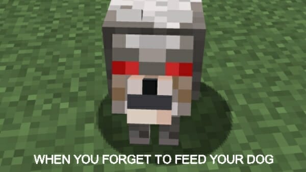 WHEN YOU FORGET TO FEED YOUR DOG