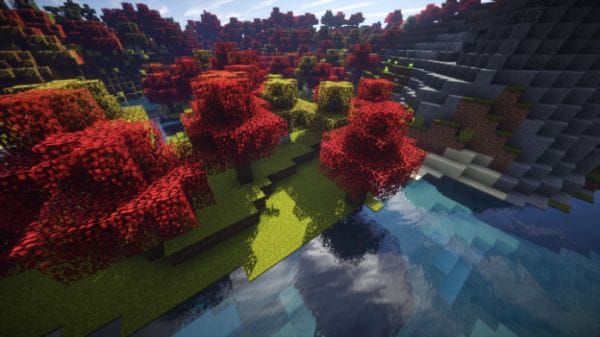 AUTUMN1