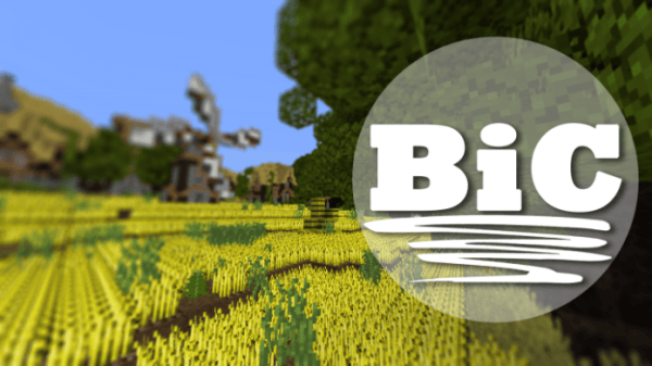 BIC