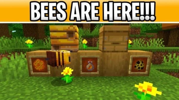 Featured image of post Minecraft Bee Cutout minecraft bee cutout template