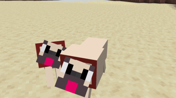 Pugs In Minecraft 1.15 - replace wolves with pugs - 2 Pugs In Minecraft 1.15 - replace wolves with pugs - 2