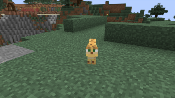 turn a ocelot into a cat in minecraft tablet