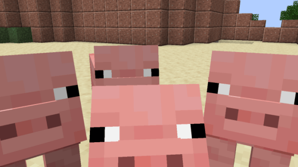 Minecraft Pigs - 1