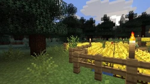 Top Default Minecraft Resource Packs 1.17 and Lower