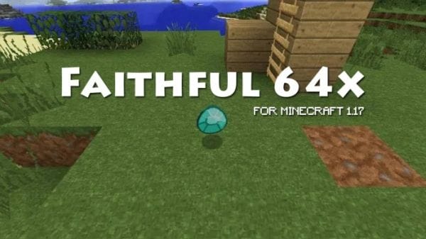 faithful 64x 1.17