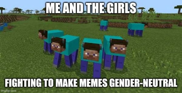 Minecraft Meme - 2