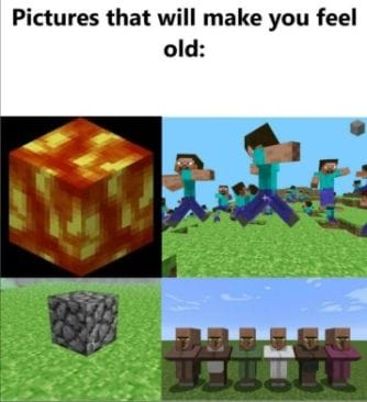 Minecraft Meme - 4