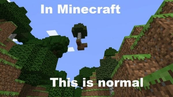 Minecraft Meme - normal minecraft