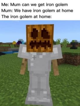 Minecraft Meme - iron golem at home