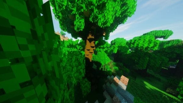 Round Trees 1.17.1 Texture Pack