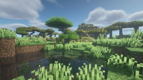 minecraft shaders texture pack 1.18