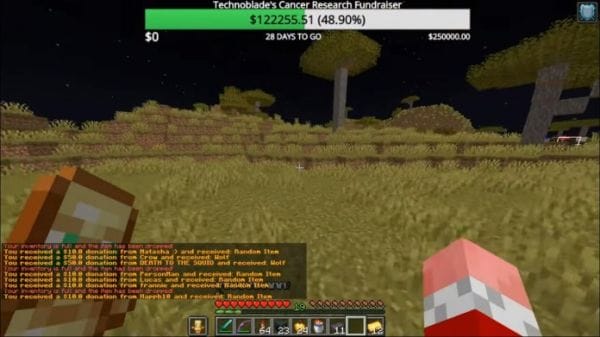 Technoblade's Live Stream Raised $323k For Cancer Research