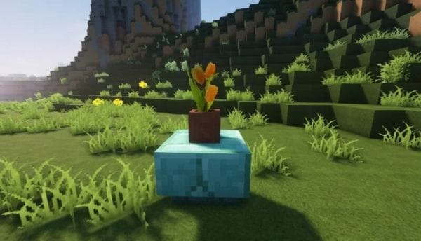 Willos Better Flowers and Grass Resource Pack 1.17.1 - 3
