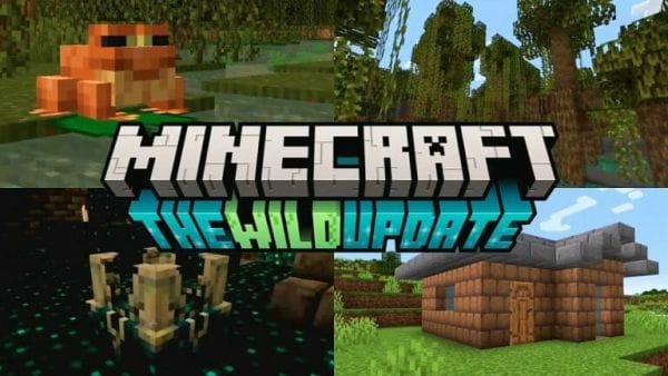 Minecraft 1.19