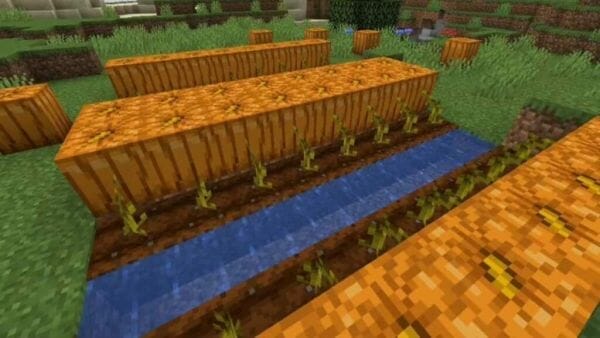 How to Grow Pumpkins in Minecraft - 3