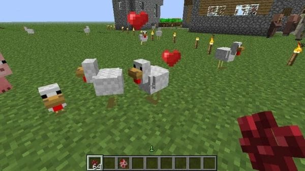 What do Chickens Eat in Minecraft - 2