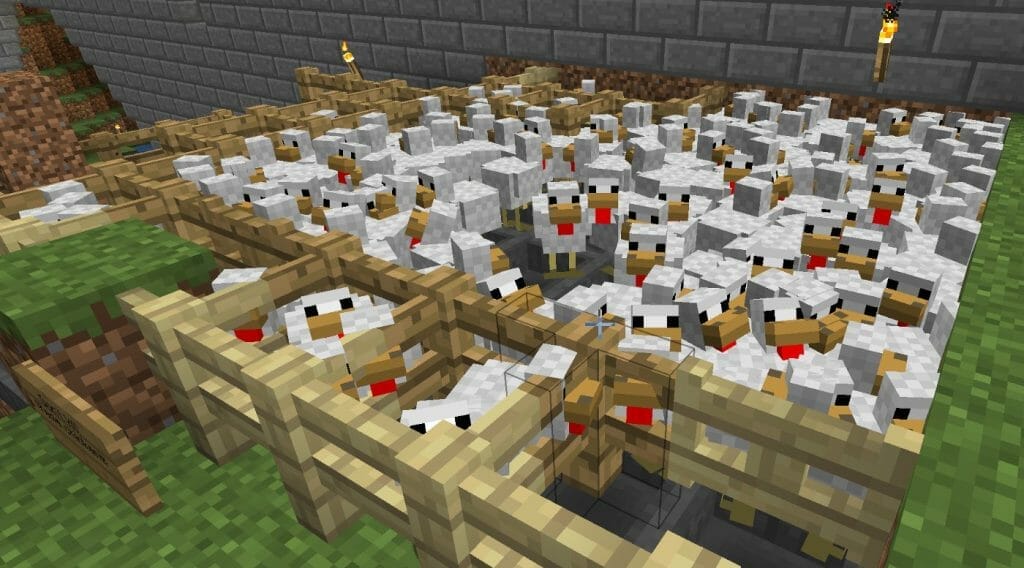What do Chickens Eat in Minecraft? Learn from the Best