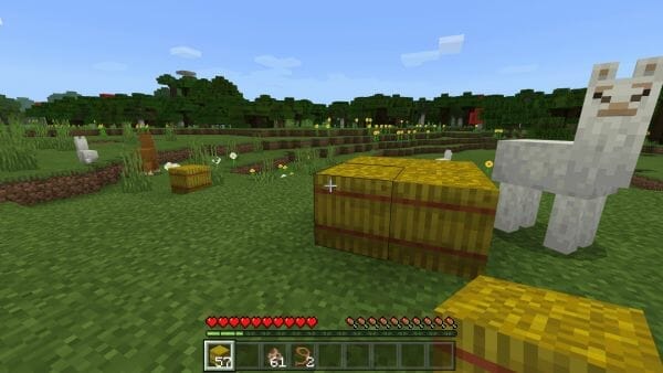 What do Llamas Eat in Minecraft - 3