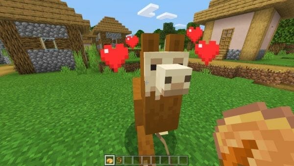 What do Llamas Eat in Minecraft - 5