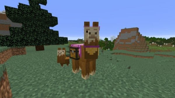 What do Llamas Eat in Minecraft - 7