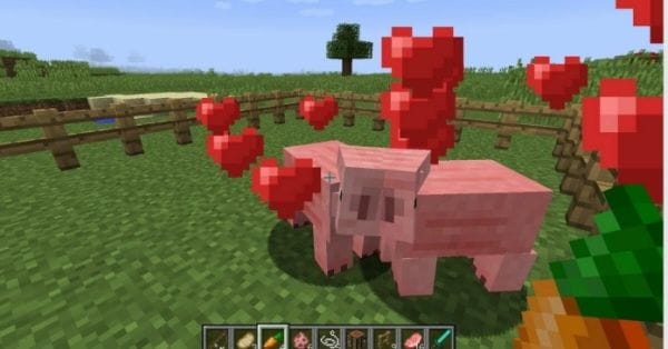 What do Pigs Eat in Minecraft - 2
