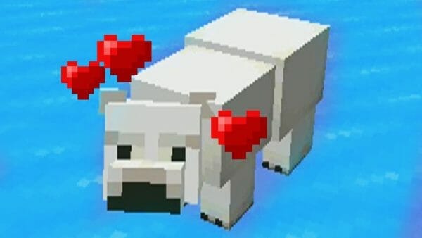 What do Polar Bears Eat in Minecraft - 4