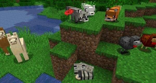Creatures+ 1.19 Texture Pack Free Download and Review