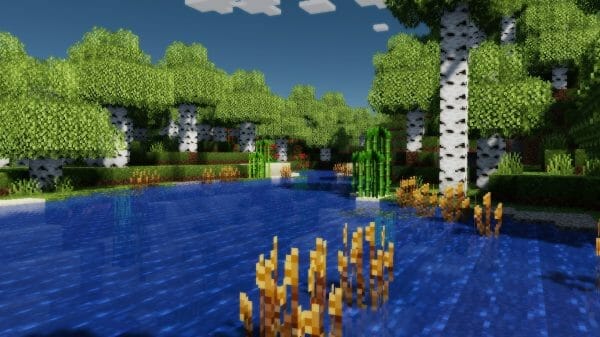 Nature X 1.19.2 Texture Pack - 3