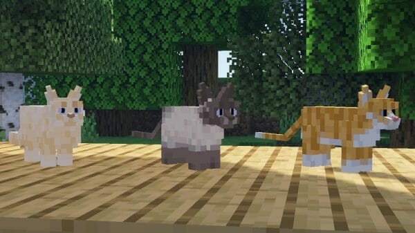 Better Cats! 1.19.3 Resource Pack - 1