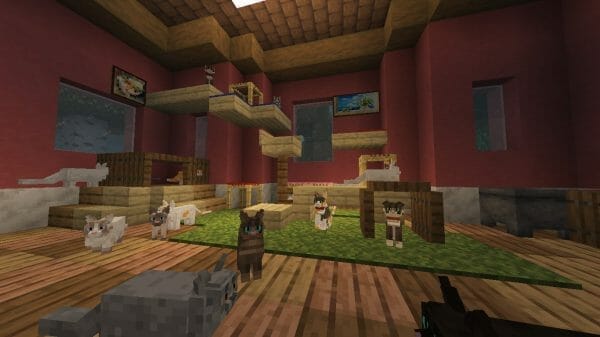 Better Cats! 1.19.3 Resource Pack - 2