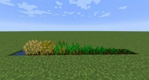 Crops 3D 1.19.3 Resource Pack - 0