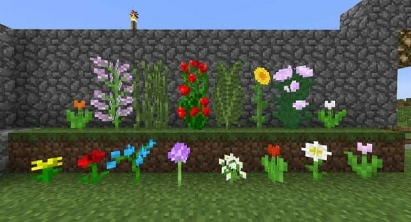 Useful Minecraft Flowers List and Where to Find Them - 3