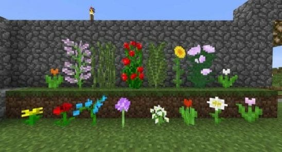 Useful Minecraft Flowers List and Where to Find Them