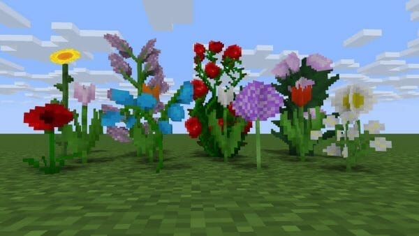 Useful Minecraft Flowers List and Where to Find Them - 4